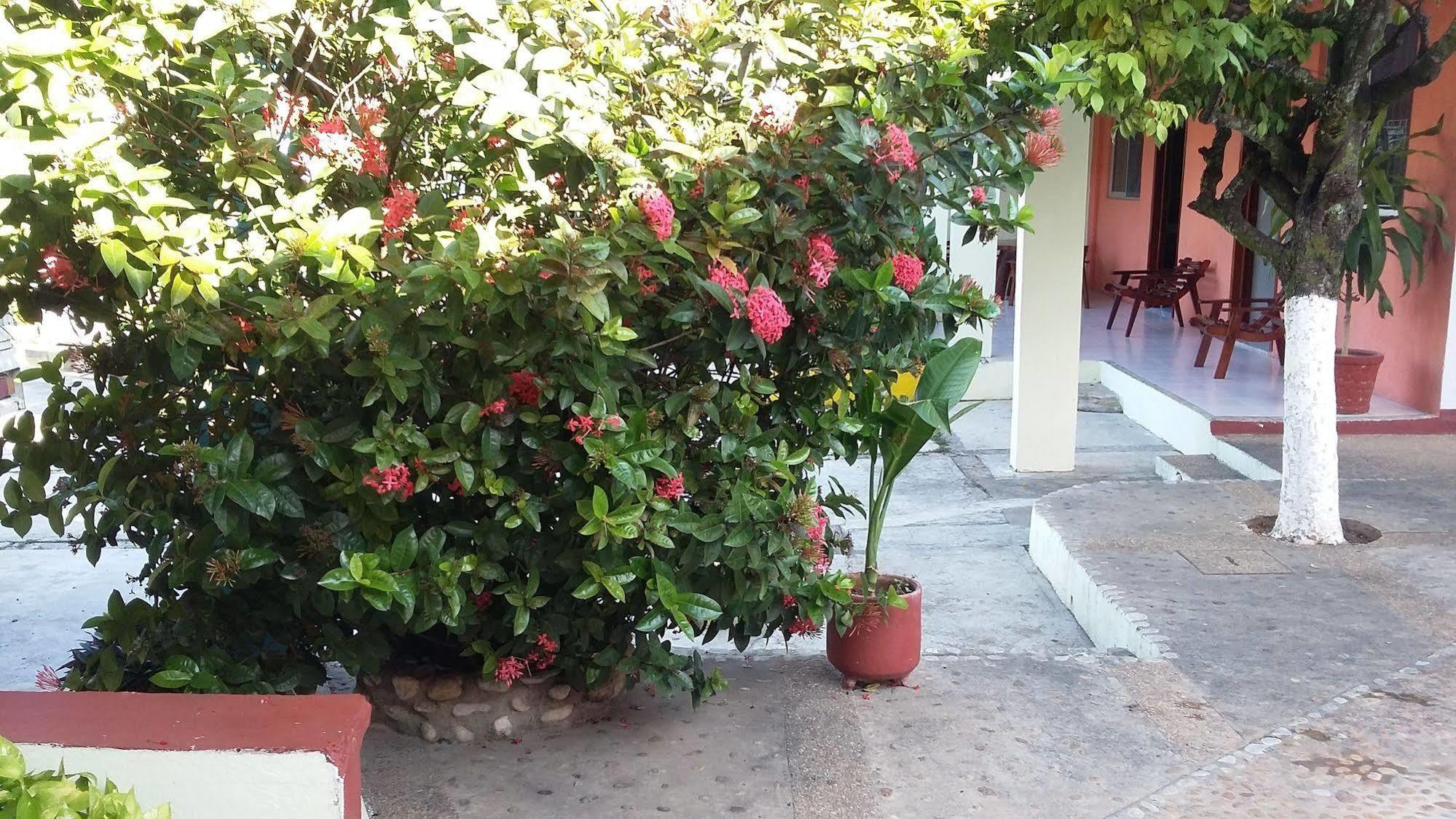 Hotel Mallorca パレンケ エクステリア 写真